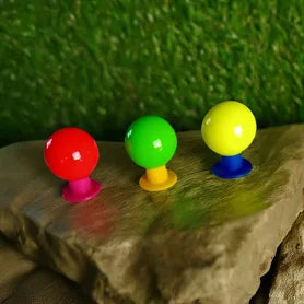 Standard 2-Layer Balls